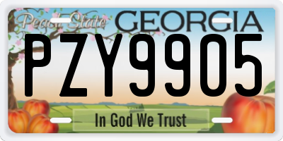 GA license plate PZY9905