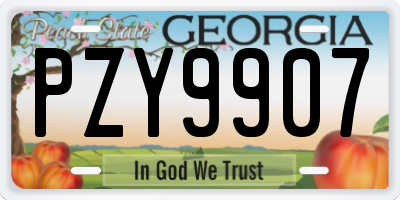 GA license plate PZY9907