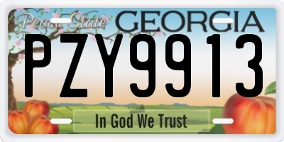 GA license plate PZY9913