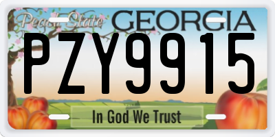 GA license plate PZY9915