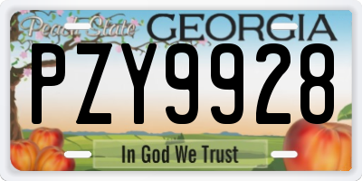 GA license plate PZY9928