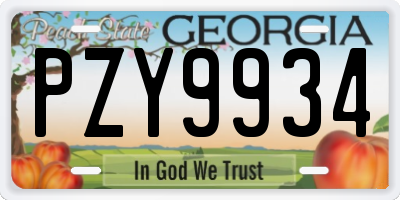 GA license plate PZY9934
