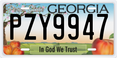 GA license plate PZY9947