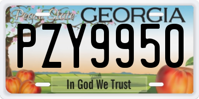 GA license plate PZY9950