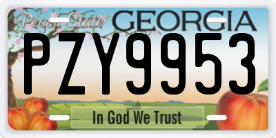 GA license plate PZY9953