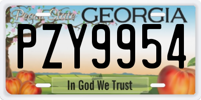 GA license plate PZY9954