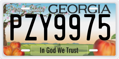 GA license plate PZY9975