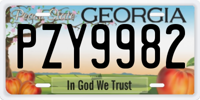 GA license plate PZY9982