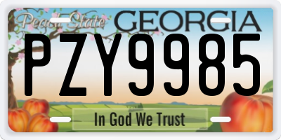 GA license plate PZY9985