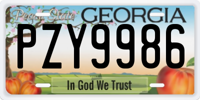 GA license plate PZY9986