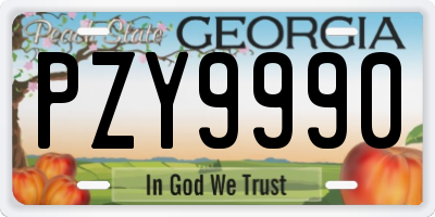 GA license plate PZY9990