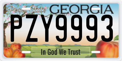 GA license plate PZY9993