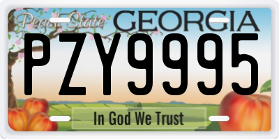 GA license plate PZY9995
