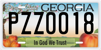 GA license plate PZZ0018