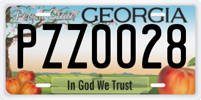 GA license plate PZZ0028