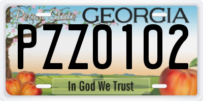 GA license plate PZZ0102