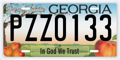 GA license plate PZZ0133
