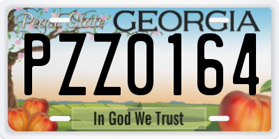 GA license plate PZZ0164