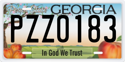 GA license plate PZZ0183