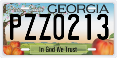 GA license plate PZZ0213
