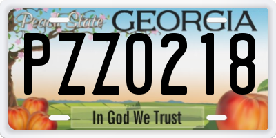 GA license plate PZZ0218