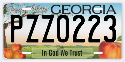GA license plate PZZ0223