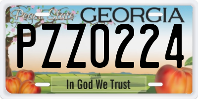 GA license plate PZZ0224