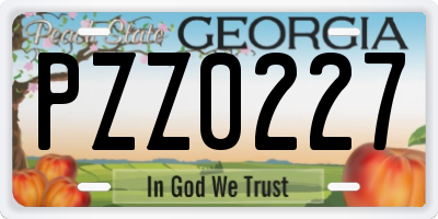 GA license plate PZZ0227