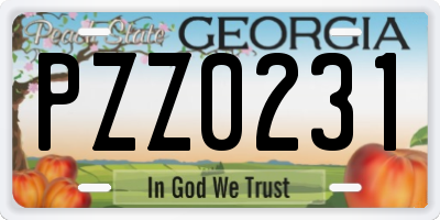 GA license plate PZZ0231