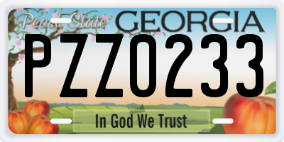 GA license plate PZZ0233