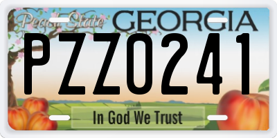 GA license plate PZZ0241