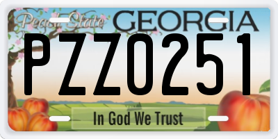 GA license plate PZZ0251