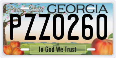 GA license plate PZZ0260
