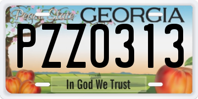 GA license plate PZZ0313