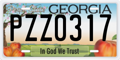 GA license plate PZZ0317