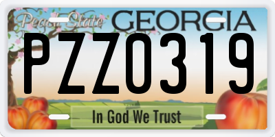 GA license plate PZZ0319