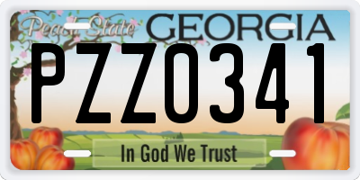 GA license plate PZZ0341