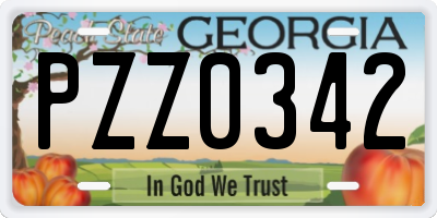 GA license plate PZZ0342