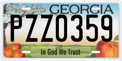 GA license plate PZZ0359