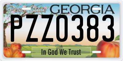 GA license plate PZZ0383