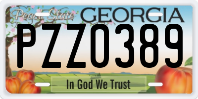 GA license plate PZZ0389
