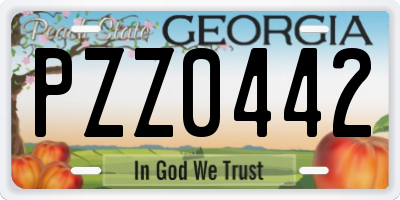 GA license plate PZZ0442