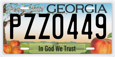 GA license plate PZZ0449