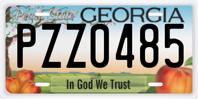 GA license plate PZZ0485