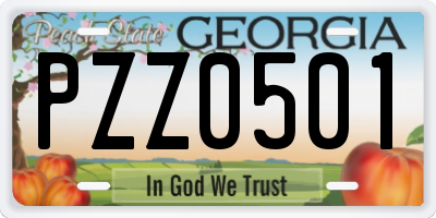 GA license plate PZZ0501