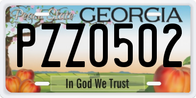 GA license plate PZZ0502