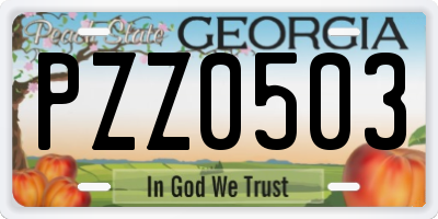 GA license plate PZZ0503