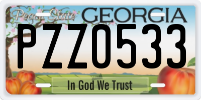 GA license plate PZZ0533