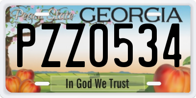 GA license plate PZZ0534