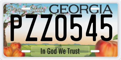 GA license plate PZZ0545